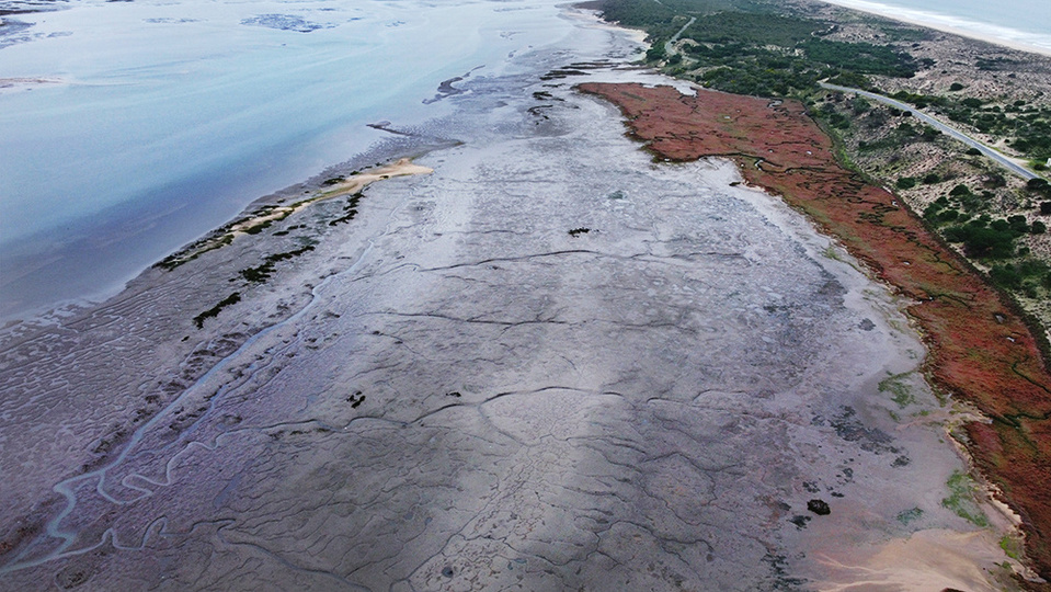 ola mae photo marshland drone 