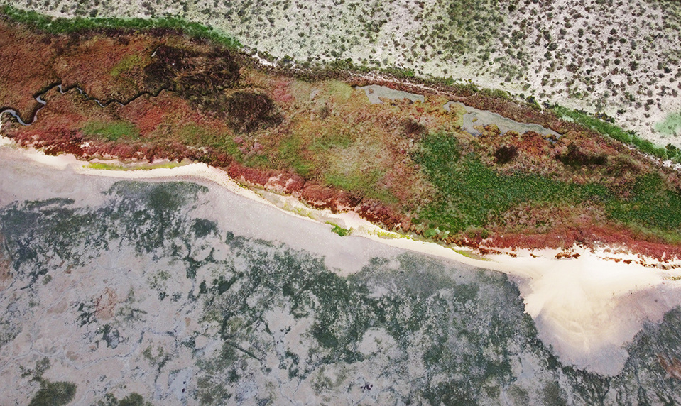 ola mae photo drone marsh landscape