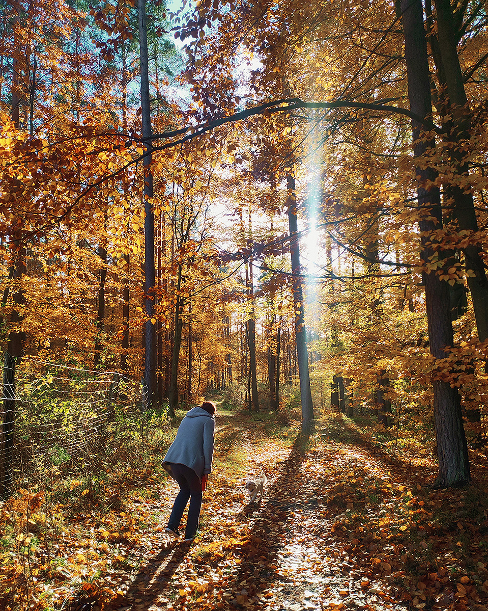 forest poland fall ola bike ride mae orlikowska