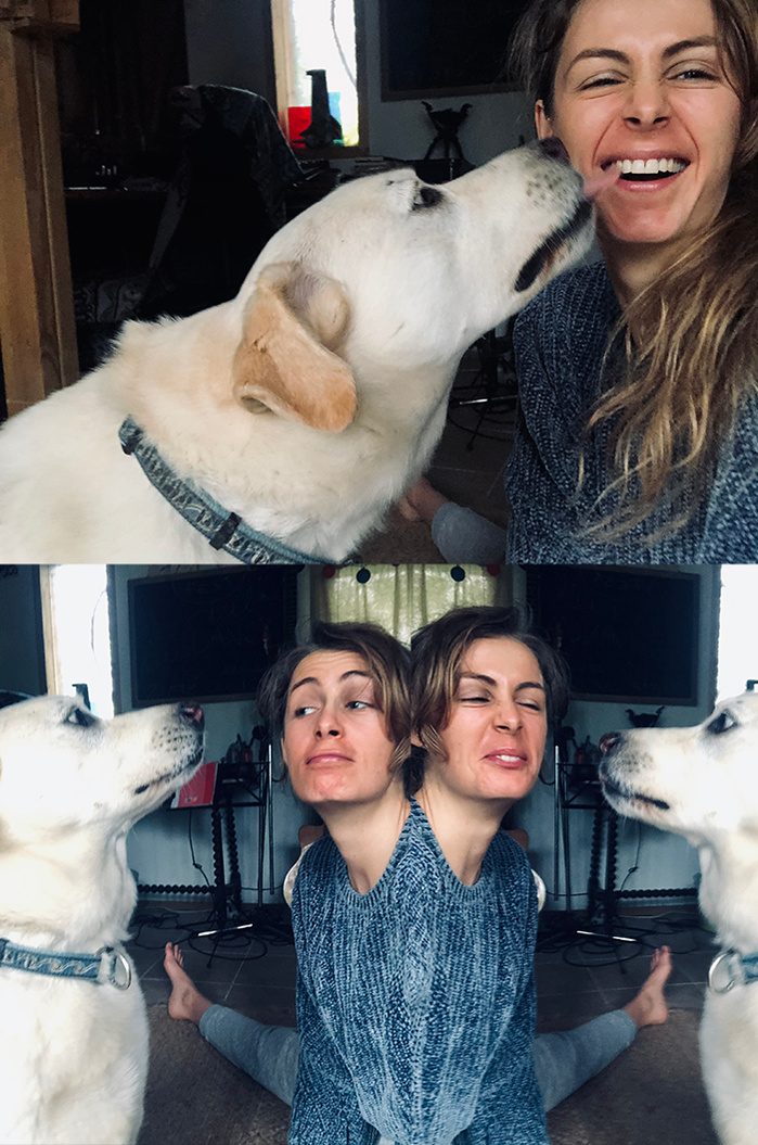 dog photography spain ola mae photo love