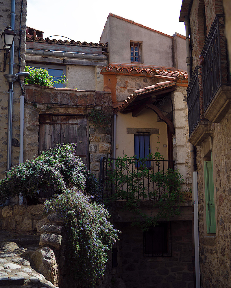 Ola Mae French town