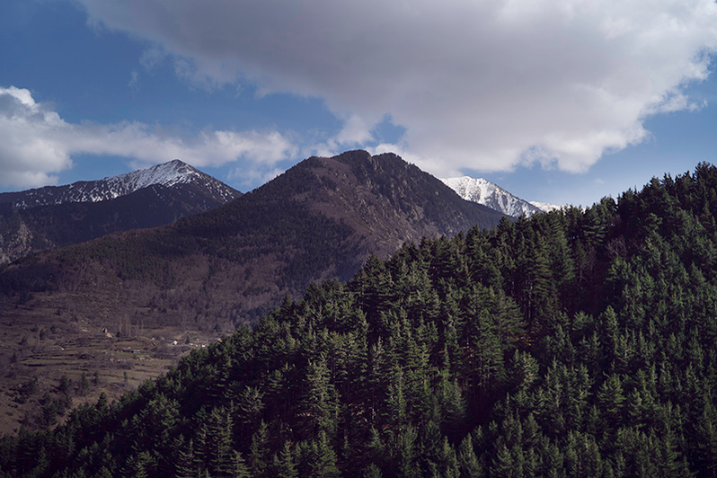Ola Mae Peaks