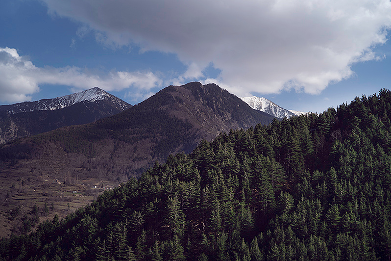 Ola Mae Peaks