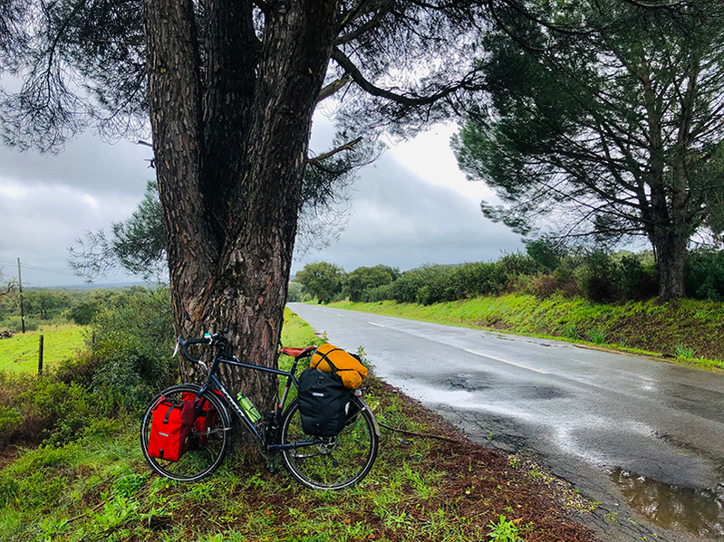 ola mae bike rain