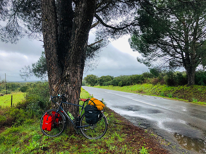 ola mae bike rain