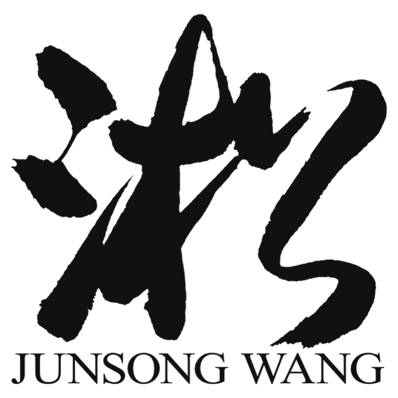 Junsong Wang's Portfolio