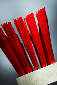 Still photography – red brush photographes in an artistic way.
