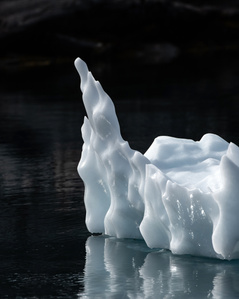 Detail of iceberg in Greenland on a black background – Stand up paddling adventure.