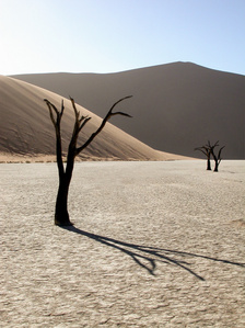 Landscape photographer Switzerland – Dead Vlei is an otherworldly sun-blackened dead forest in a dried oasis surrounded by giant sand dunes.