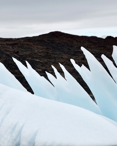 Iceberg detail in front of darkish background.