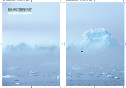 Publication tearsheet of  a huge iceberg surrounded by fog and a gull flying by in north Greenland.