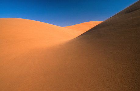 Namib-Naukluft park is one of the biggest national parks in Africa.