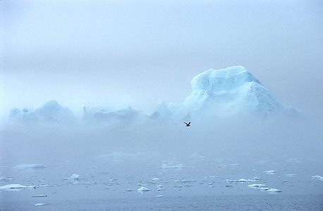 Dream like iceberg appearing through the fog in Greenland.