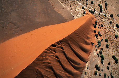 Dune shot from above – where there is water there is life.