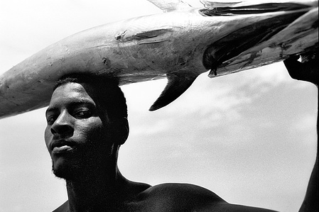 Fisherman carrying a TUNA fish on his head to the market, Cape Verde.