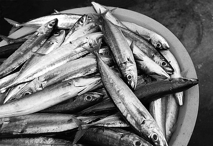 Fishes in basket.