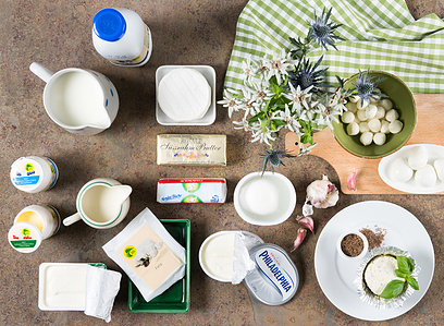 Knolling photography with milk and cheese