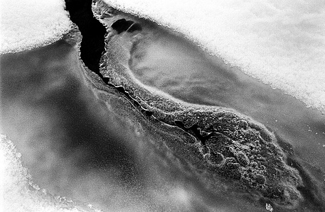 Black and white ice sculpture.