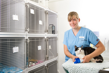 Editorial series for Veterinarx Clinic Boeschbay photographed by Jean-Luc Grossmann, editorial and portrait photographer in Zurich, Switzerland.