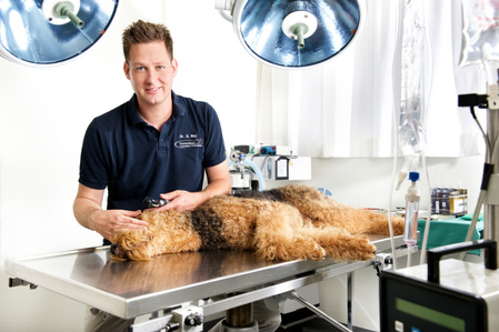 Editorial series for Veterinarx Clinic Boeschbay photographed by Jean-Luc Grossmann, editorial and portrait photographer in Zurich, Switzerland.