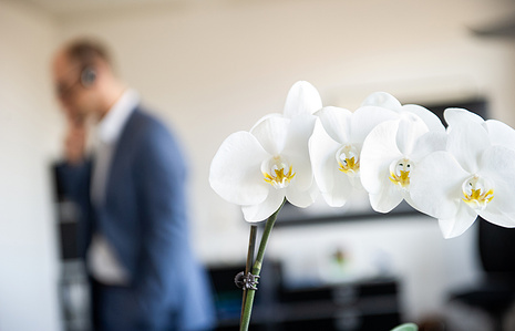 Focus on flower with blurred person in the backgroung having a phone call.