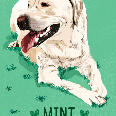 illustration of a white Labrador Retriever lying on grass. the text under it reads 'MINT. Forever in our hearts'