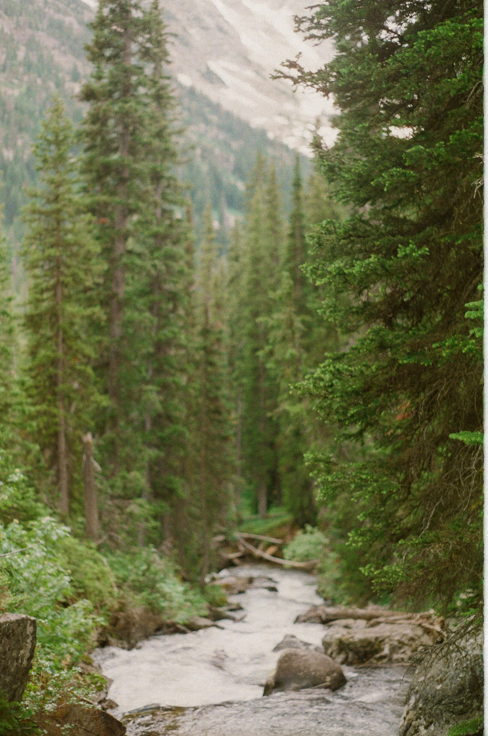 Grand Teton National Park, 2021