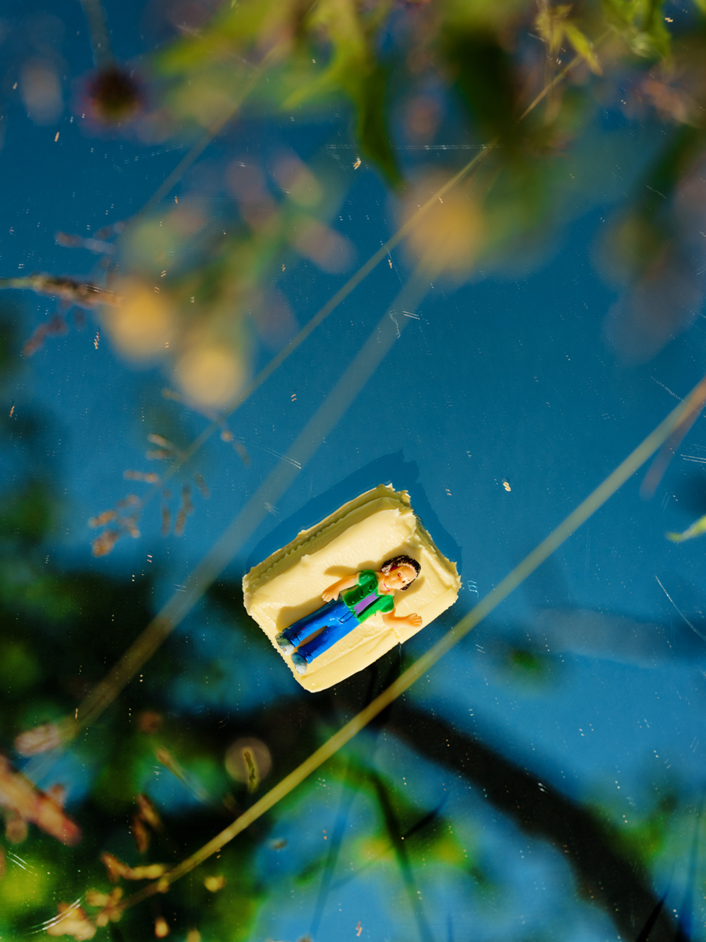Photograph of wild plants reflected in a mirror with a child's toy resting on it.