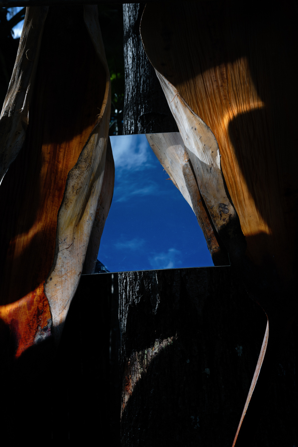 Colour photograph of an assemblage including palm tree sheaths and a mirror reflecting a blue sky.
