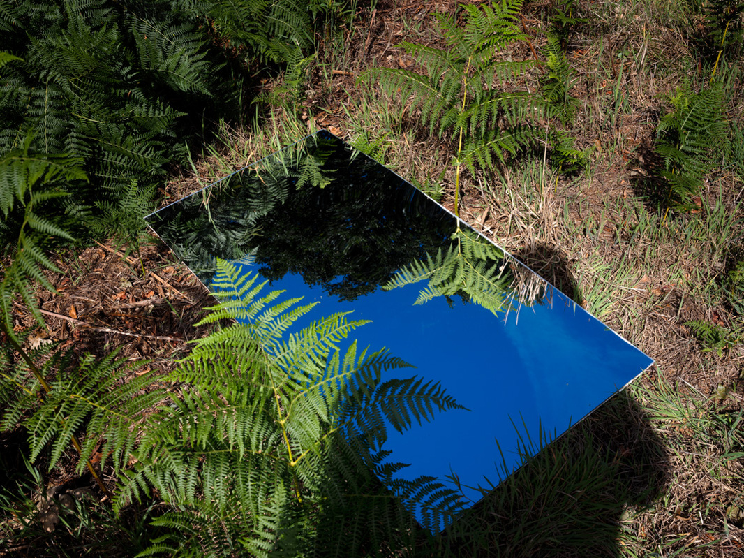 Colour photograph of a mirror lying on the ground surrounded by bracken and reflecting a blue sky.