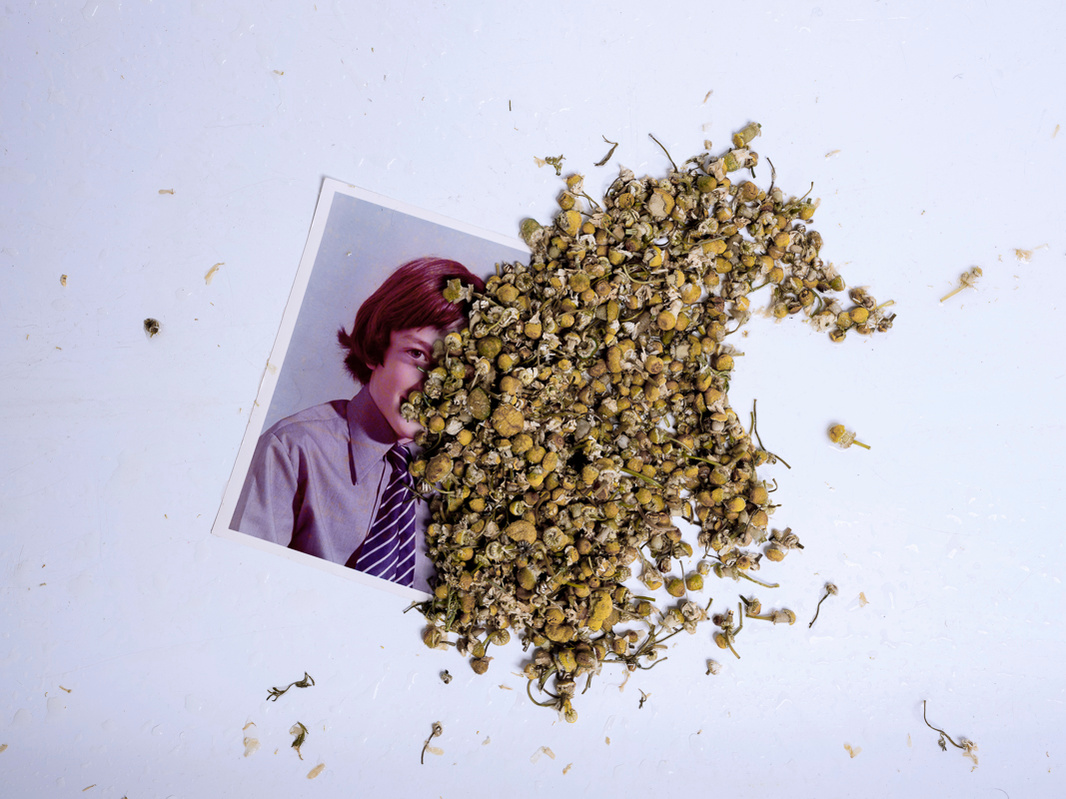 Colour photograph of a school portrait of a young boy partly covered with plant material.