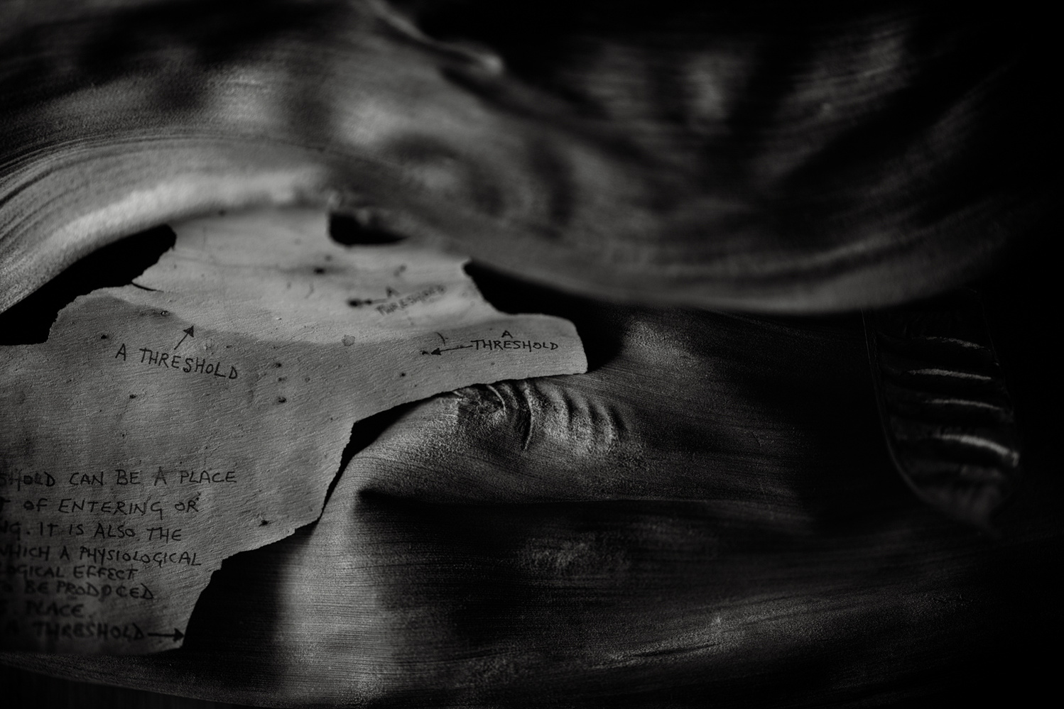 Black and white photograph of gum tree bark and palm tree sheaths layered with some words written on the bark.