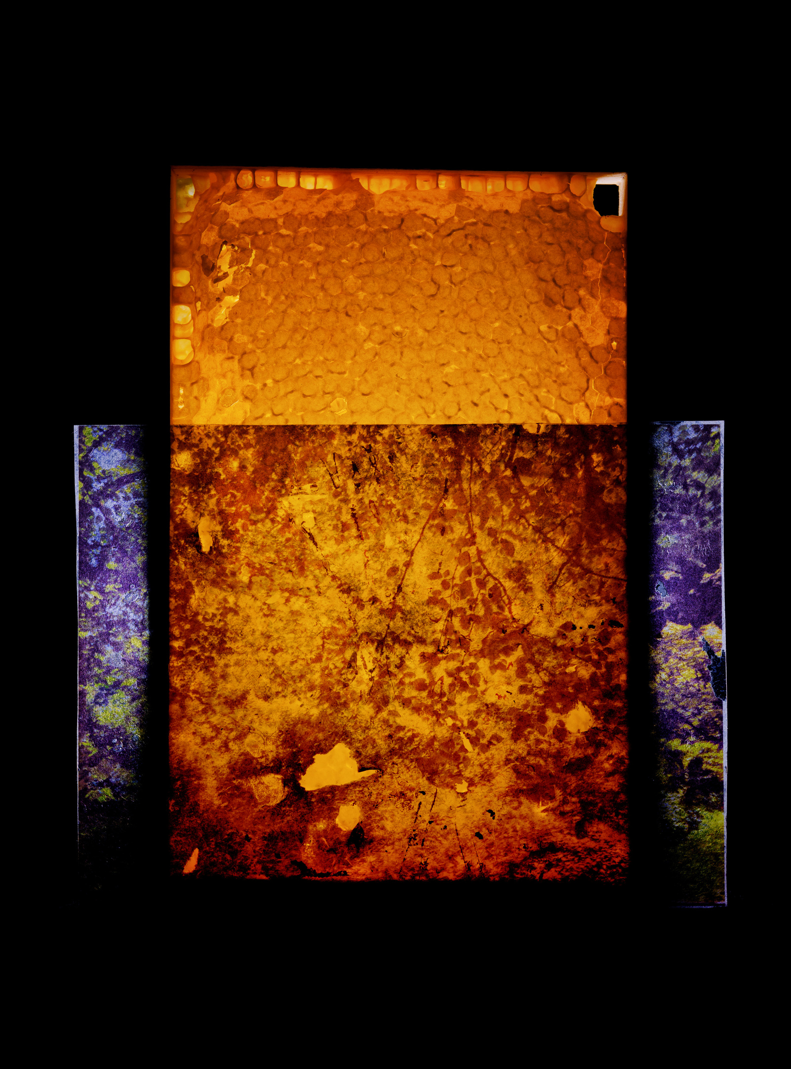 Colour reproduction image of an assemblage including a honeycomb and plastic acetate sheet with foliage printed on it.