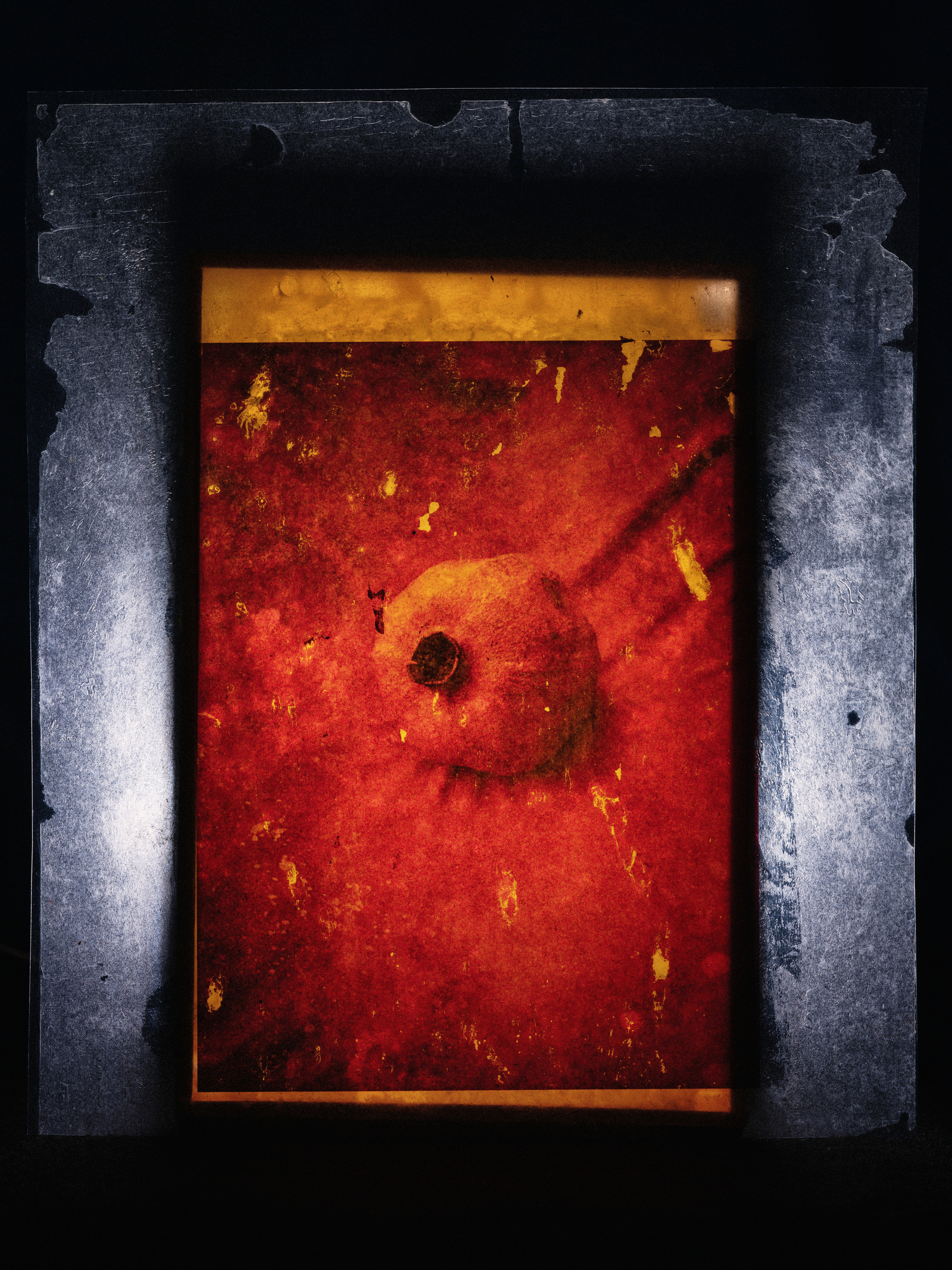 Colour reproduction image of an assemblage including a honeycomb and plastic acetate sheet with a pomegranate printed on it.