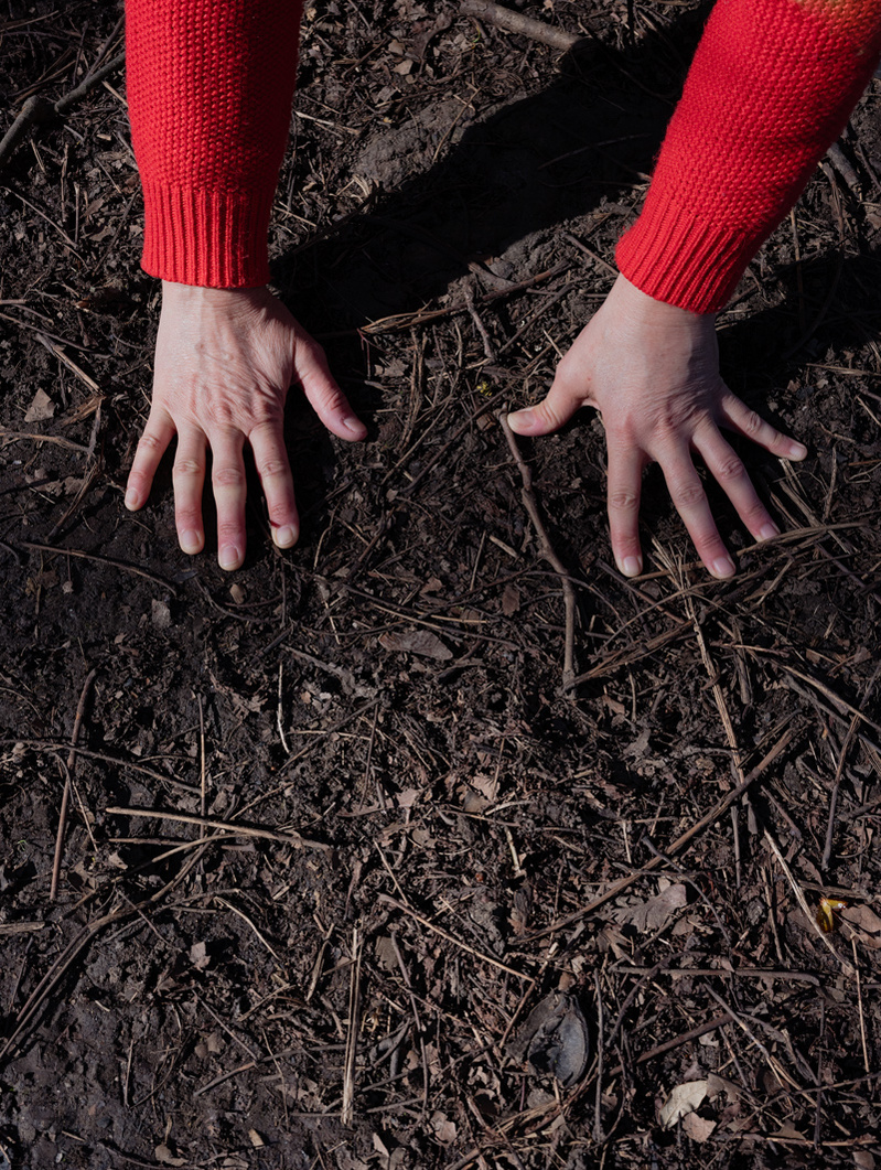 Colour photograph of two hands pressed onto brown earth.