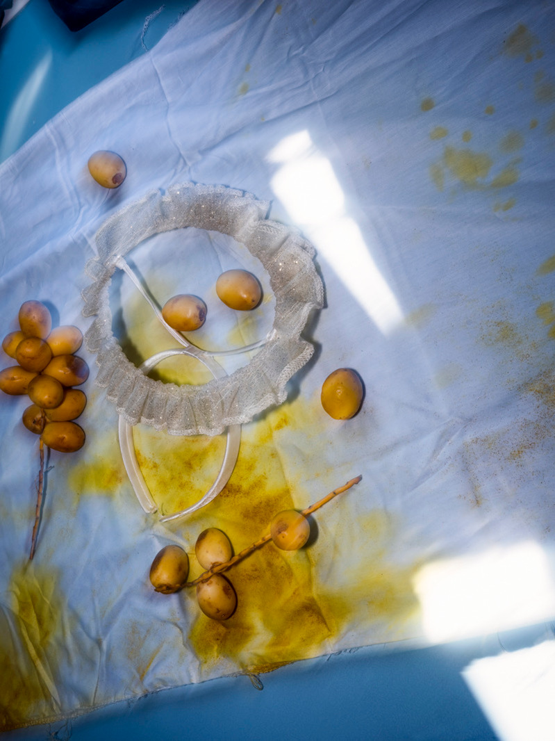 A colour photograph of unripe dates on a white tablecloth sat on a blue tabletop.