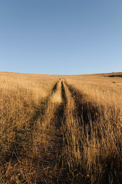 Tire tracks on a grassy mountain side with a light blue sky above.