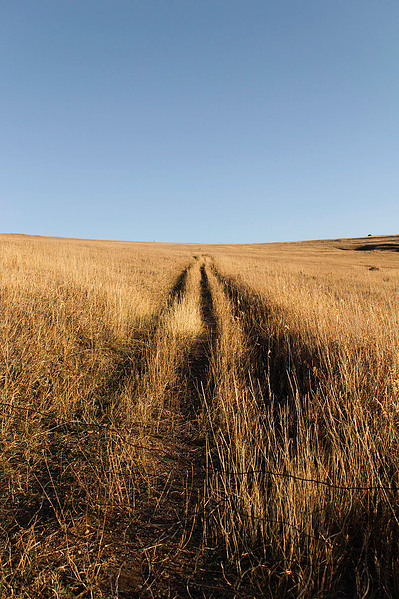 Tire tracks on a grassy mountain side with a light blue sky above.