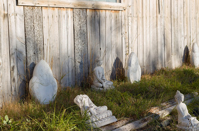 Buddha figurines against a shed on a patch of grass during golden hour.