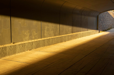 Concrete walkway beneath a bridge in high contrast sunlight and shadow.