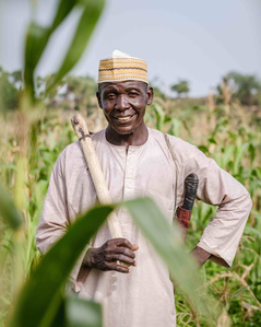 YOLA, NGA - October 3, 2023: Portrait of Shaibu Mohammed (51); a farmer in his farm located in Dasin Hausa community, Fufoire LGA, Adamawa State Nigeria. Shaibu Mohammed is a beneficiary of Google climate resilency project. After receiving cash, he was ab