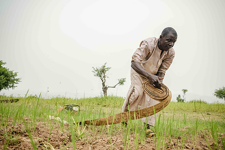 YOLA, NGA - October 4, 2023: Shaibu Mohammed rolls his irrigation pipes in his farm located in Dasin Hausa community, Fufoire LGA, Adamawa State Nigeria. Shaibu Mohammed is a beneficiary of Google climate resilency project. After receiving cash, he also p