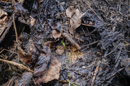 RIVERS, NG - January 27, 2023:  Land farming area destroyed due to oil spillage activities on January 27, 2022 in Rivers state, Nigeria. CREDIT: Taiwo Aina for Oxfam Novib