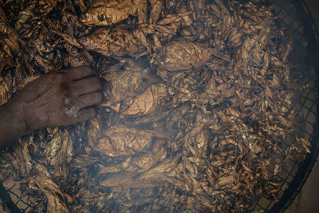 YOLA, NGA - October 4, 2023: Faiza Habibu roasted fish in her home in Dasin Hausa community, Fufoire LGA, Adamawa State Nigeria. CREDIT: Taiwo Aina for IRC