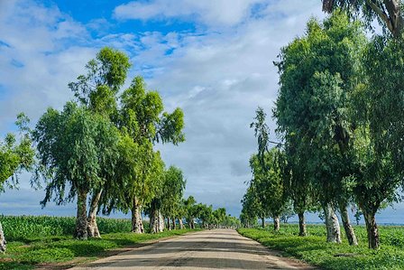 KADUNA, NGA - August 11, 2023: Road leading to Asiya Ja’afar’s community, at Anguwan Malamai, Zaria, Kaduna State, Nigeria. CREDIT: Taiwo Aina