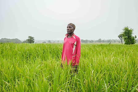YOLA, NGA - October 5, 2023: Portrait of Salihu Yahaya (42); a livestock farmer in his rice farm located in Dasin Hausa community, Fufoire LGA, Adamawa State Nigeria. Salihu Yahaya is a beneficiary of climate resilency project. After receiving the cash fr