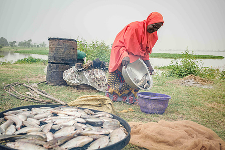 YOLA, NGA - October 5, 2023: Faiza Habibu pours purchased fish as she buys them at Dasin Hausa river, Fufoire LGA, Adamawa State Nigeria. Faiza Habibu is a beneficiary of Google climate resilency project. CREDIT: Taiwo Aina for IRC