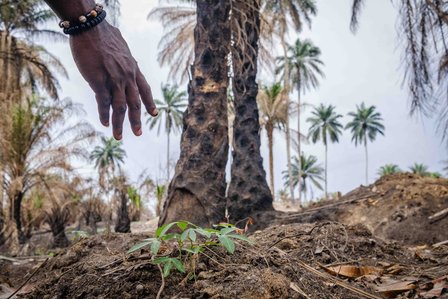 RIVERS, NG - January 27, 2023: Asanga Fabian points at an under growing crop in front of the land farming area destroyed due to oil spillage activities on January 27, 2022 in Rivers state, Nigeria. CREDIT: Taiwo Aina for Oxfam Novib