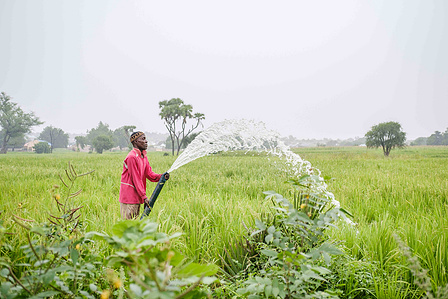 YOLA, NGA - October 5, 2023: Salihu Yahaya uses his irrigation pump to wet his rice farm located in Dasin Hausa community, Fufoire LGA, Adamawa State Nigeria. Salihu Yahaya is a beneficiary of climate resilency project. After receiving the cash from IRC, 