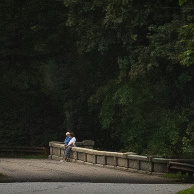 Saw these two having a talk turning off of main street concord. This is super cropped, but is what I woulds took if I had the right lens.